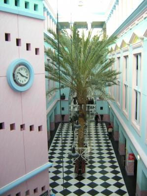 palmier lycée LISA