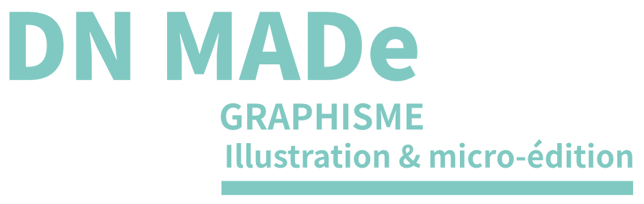 Bilan 2023-2024 DNMADE Illustration