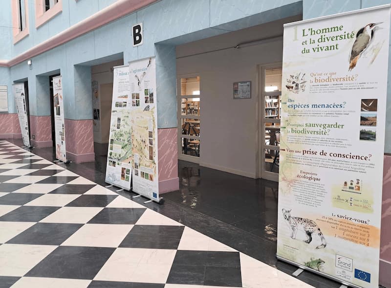 Exposition sur la biodiversité