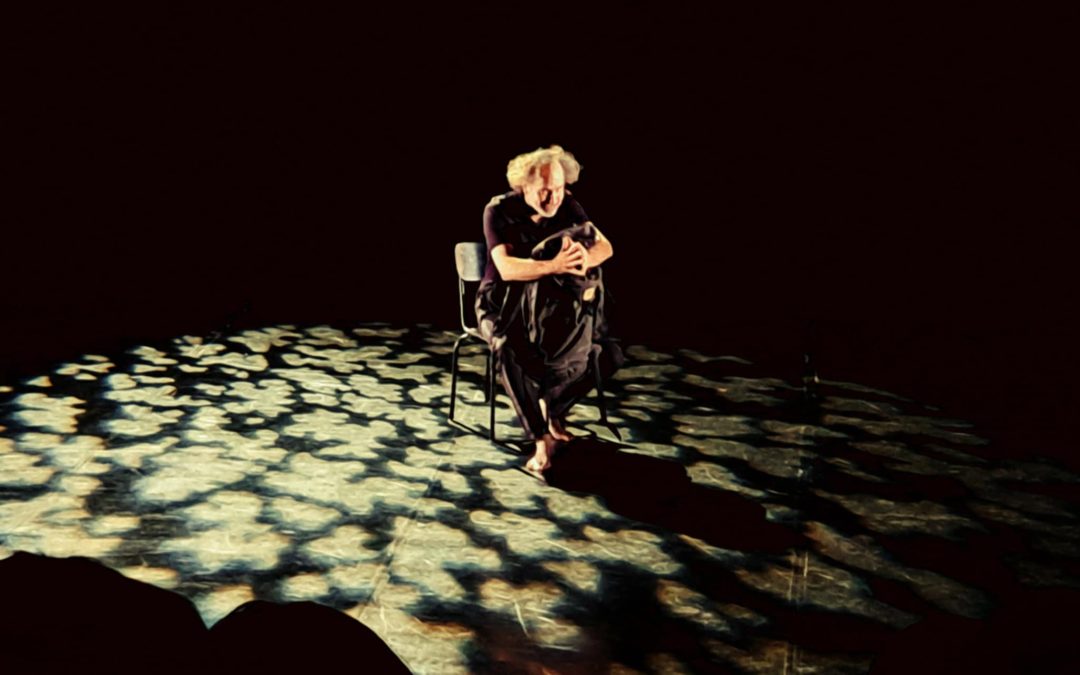 Spectacle de David Sire
