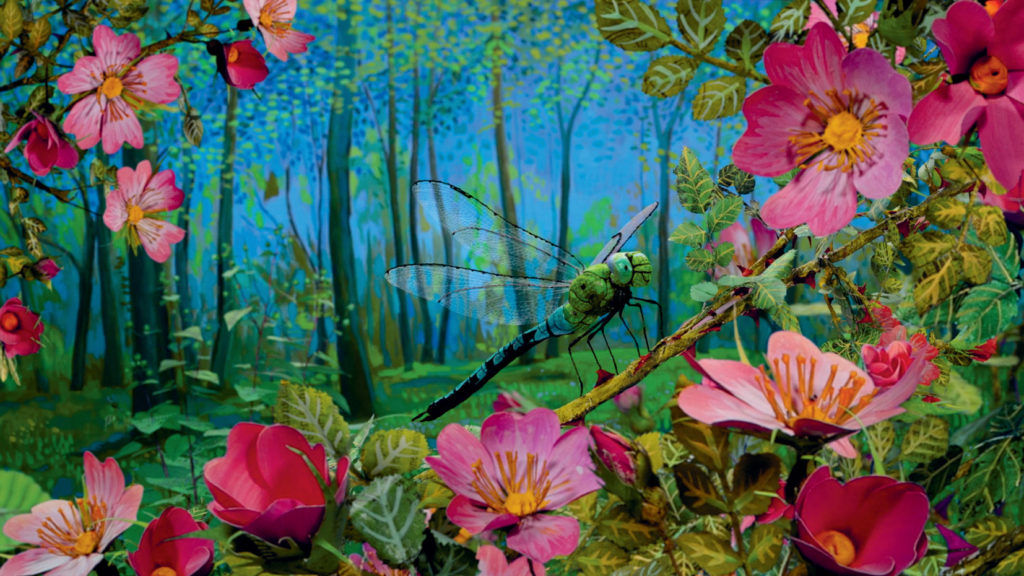 Bloom : un projet de clip en stop motion au croisement de l’animation et de la production